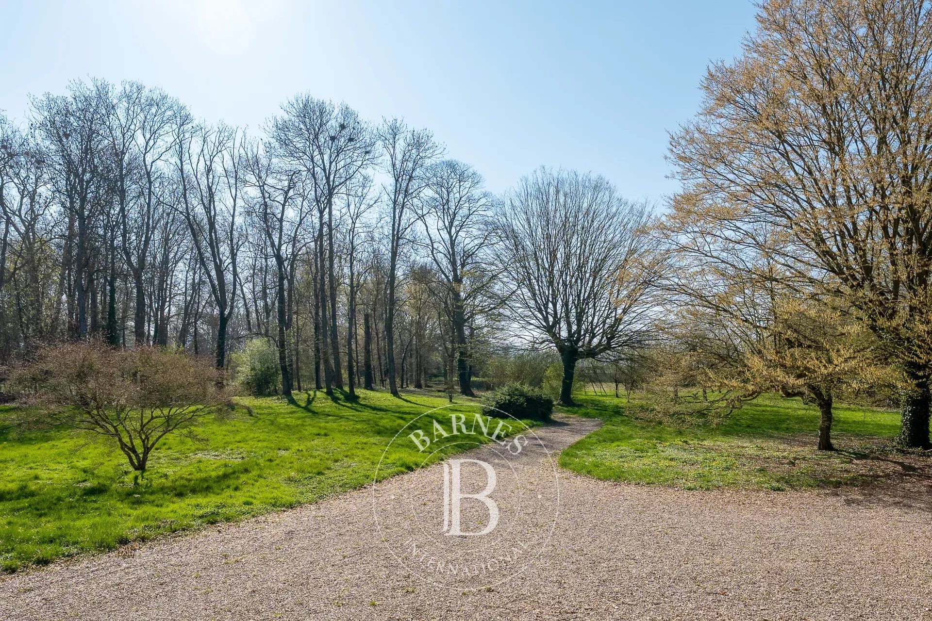 Belleau  - Château  - picture 15