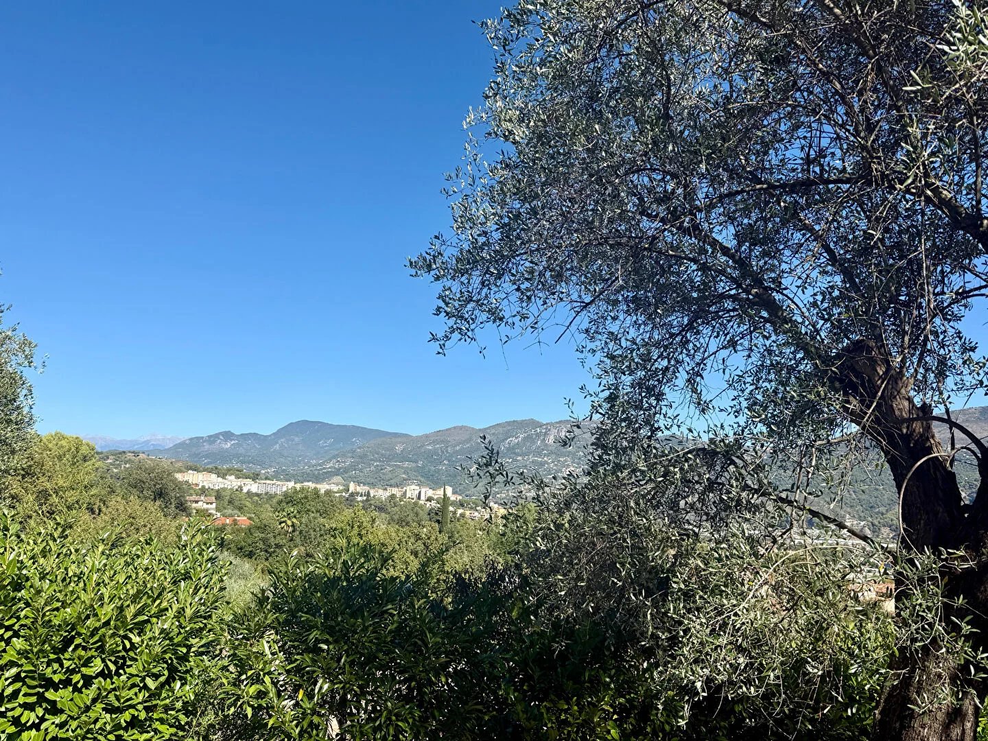 Agence immobilière de Mister Property Cagnes-sur-Mer