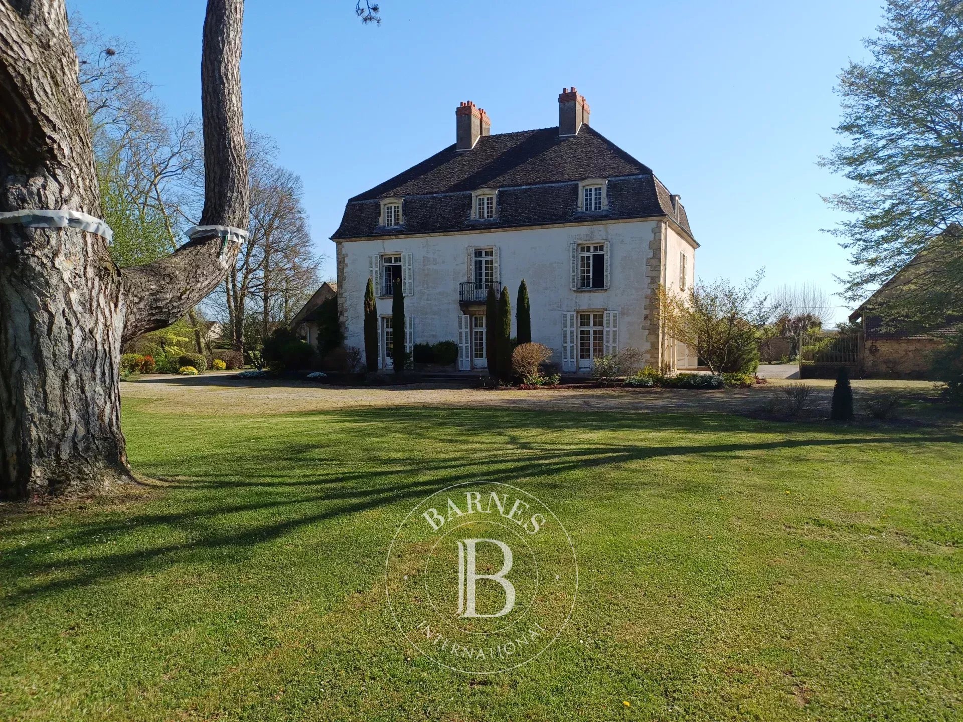 Propriété Chalon-sur-Saône  -  ref 82295047 (picture 3)