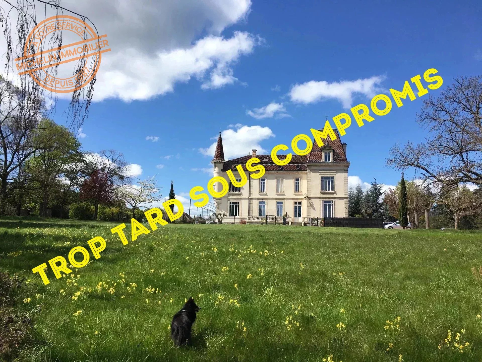 Vente Triplex Lentilly