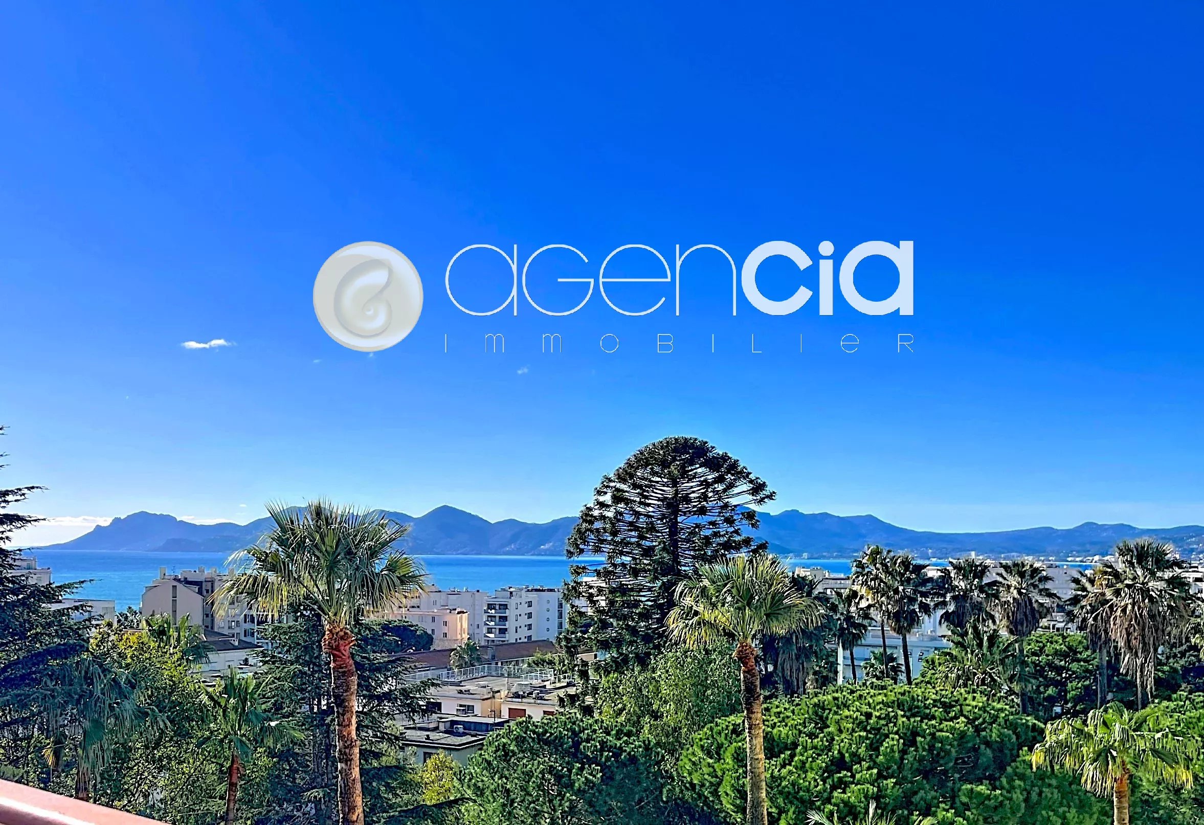 Agence immobilière de Agencia Saint-Pierre