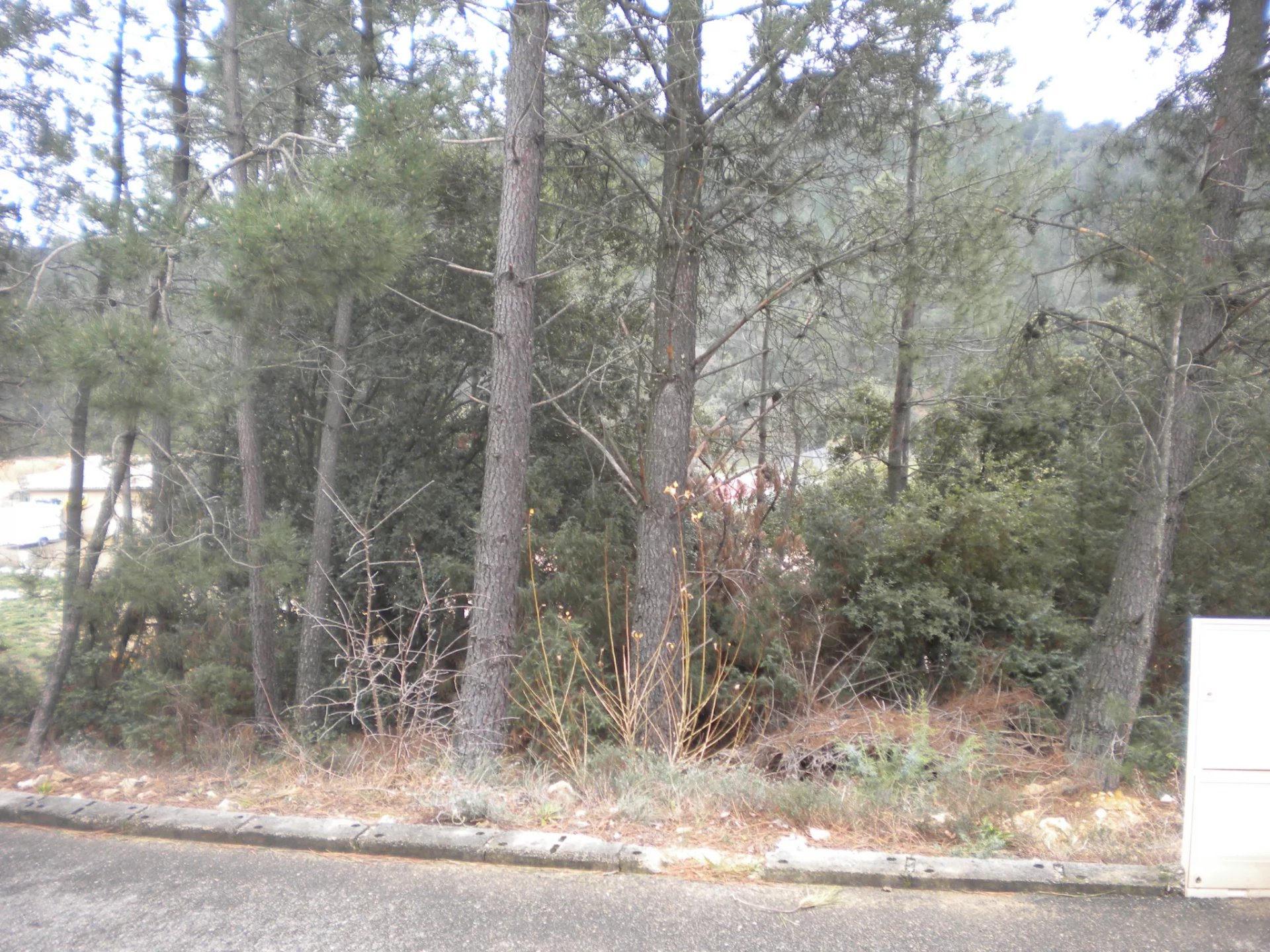 Vente Terrain Mondragon