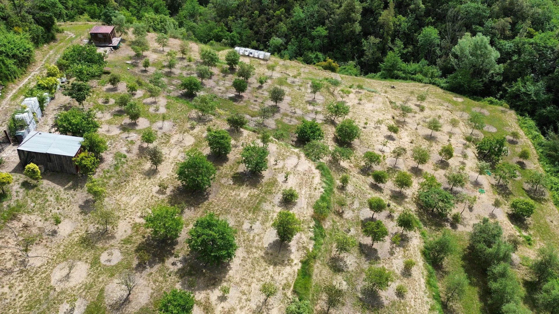VENCE : TERRAIN AVEC CHENES TRUFFIERS - Photo 2