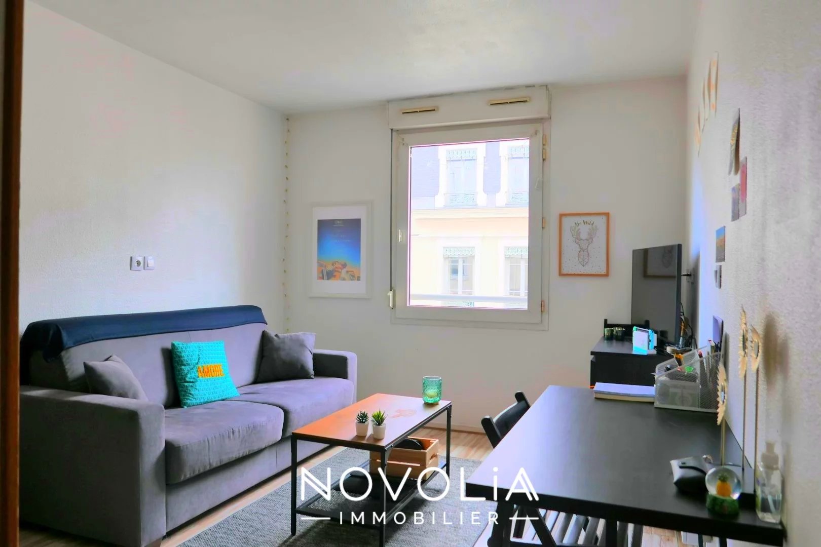 Achat Appartement Surface de 18.26 m�/ Total carrez : 18 m�, 1 pi�ce, Lyon 7�me (69007)