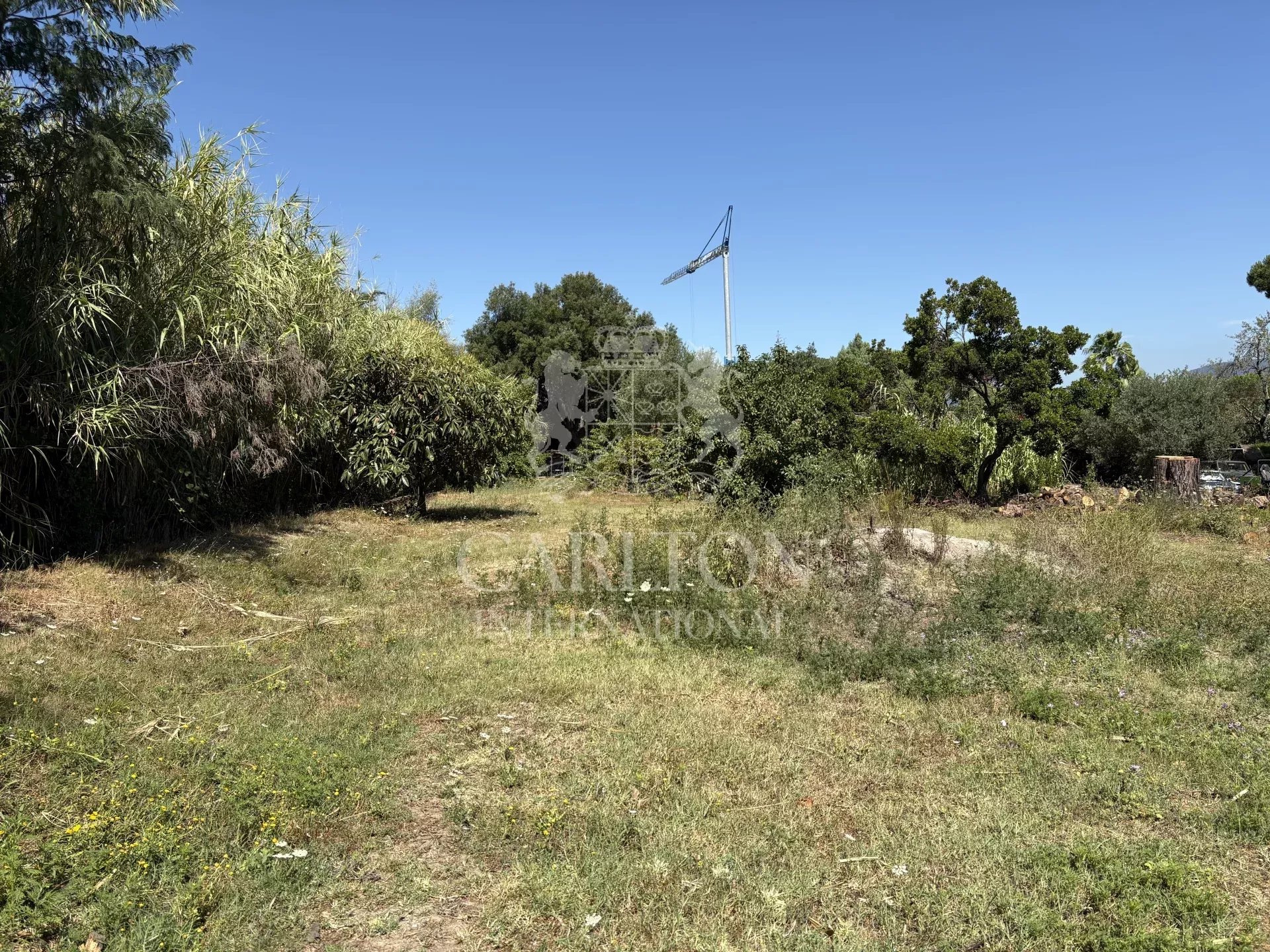 Agence immobilière de GIFCA