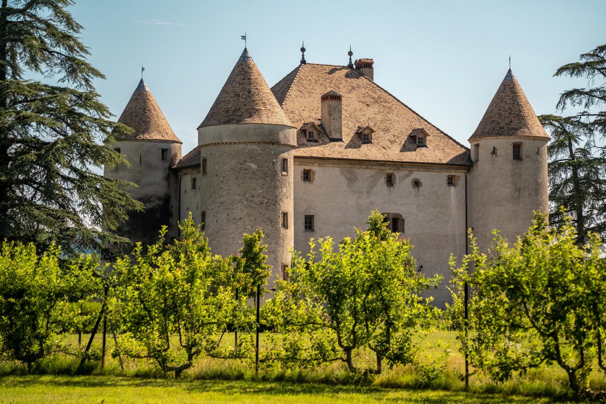 HAUTE-SAVOIE  RARE CHATEAU DU XVème s à finir de rénover