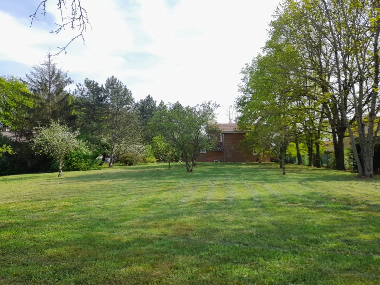 Terrain 1005 m2 Plat à Dardilly