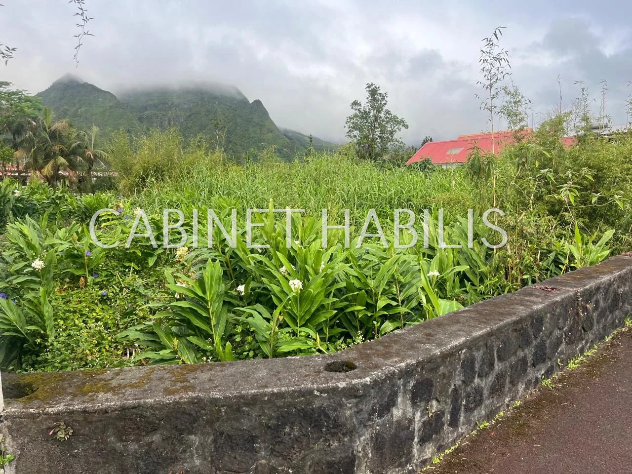 Vente Terrain La Plaine-des-Palmistes