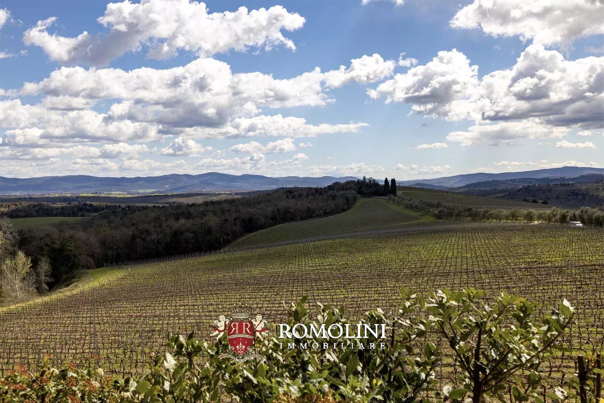 35 Bedroom Vineyard's Image 91