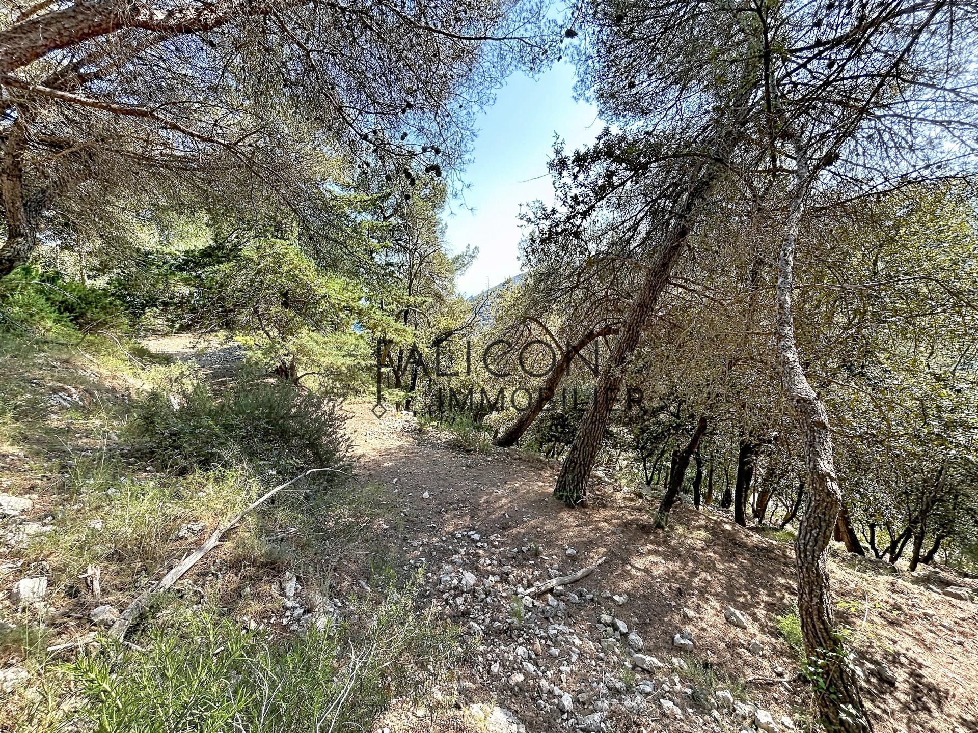 Terrain constructible Falicon - Photo 3