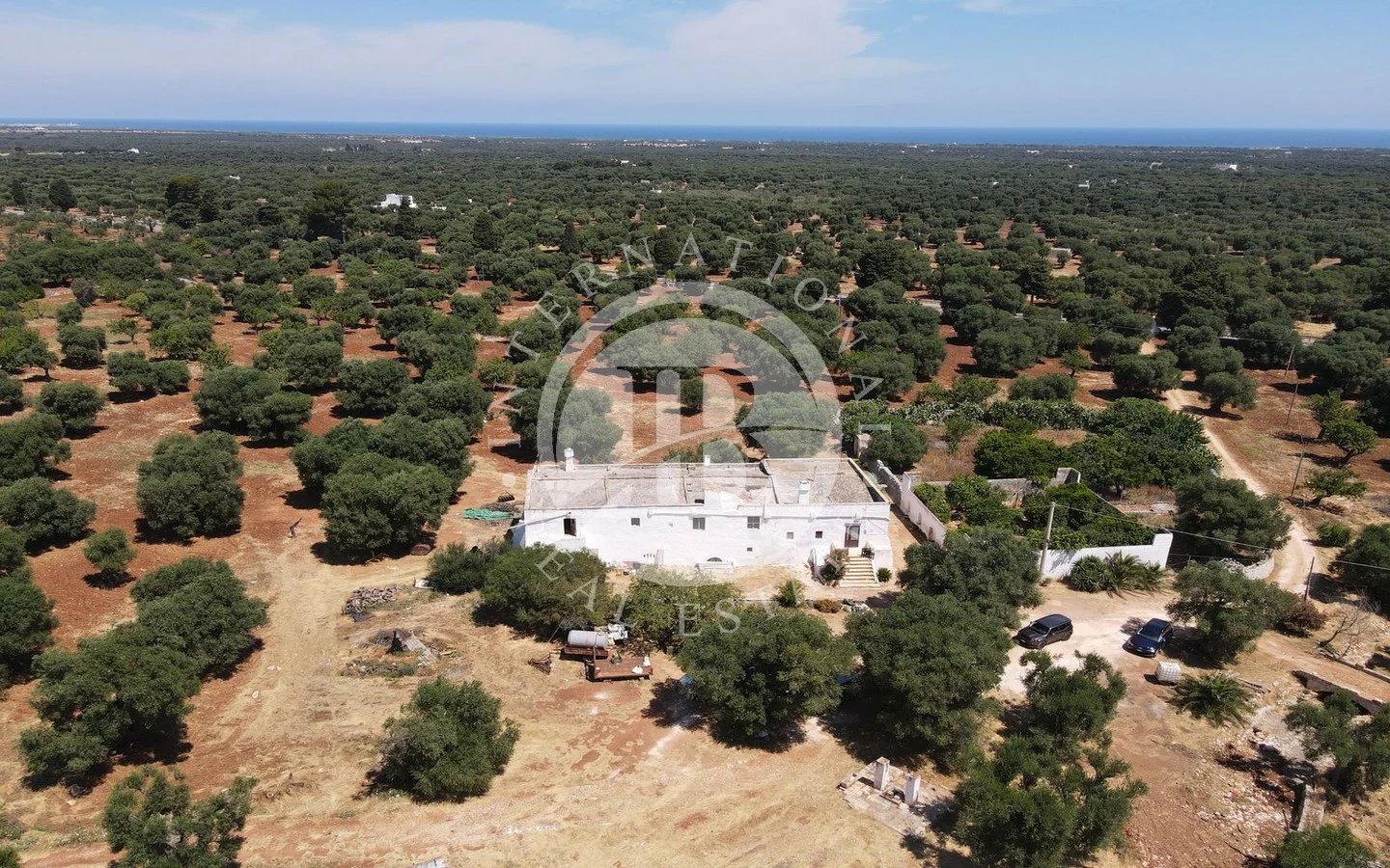 Villa in Fasano - view 1