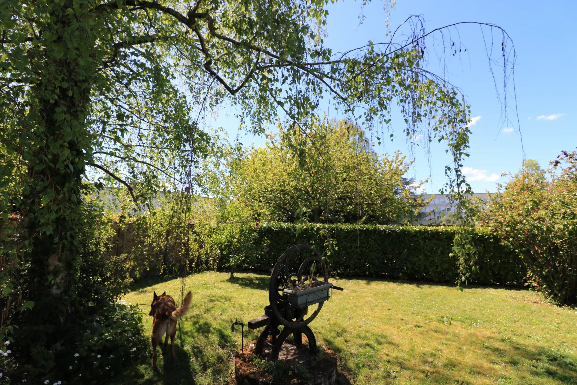 Troisième photo
