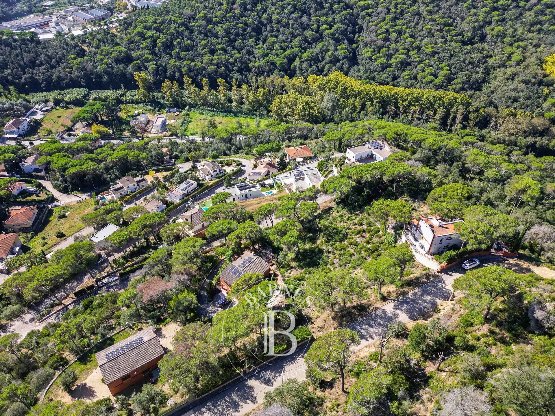 Arazi Dosríus - picture 32