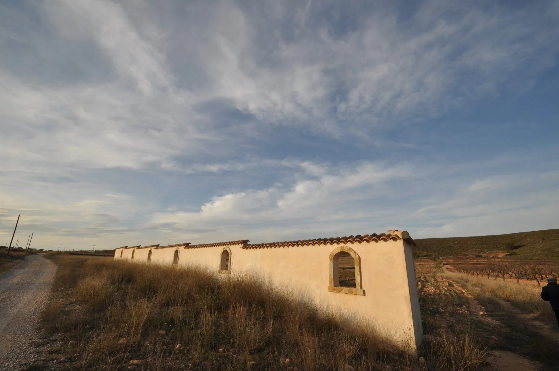 Vente Terrain Abanilla