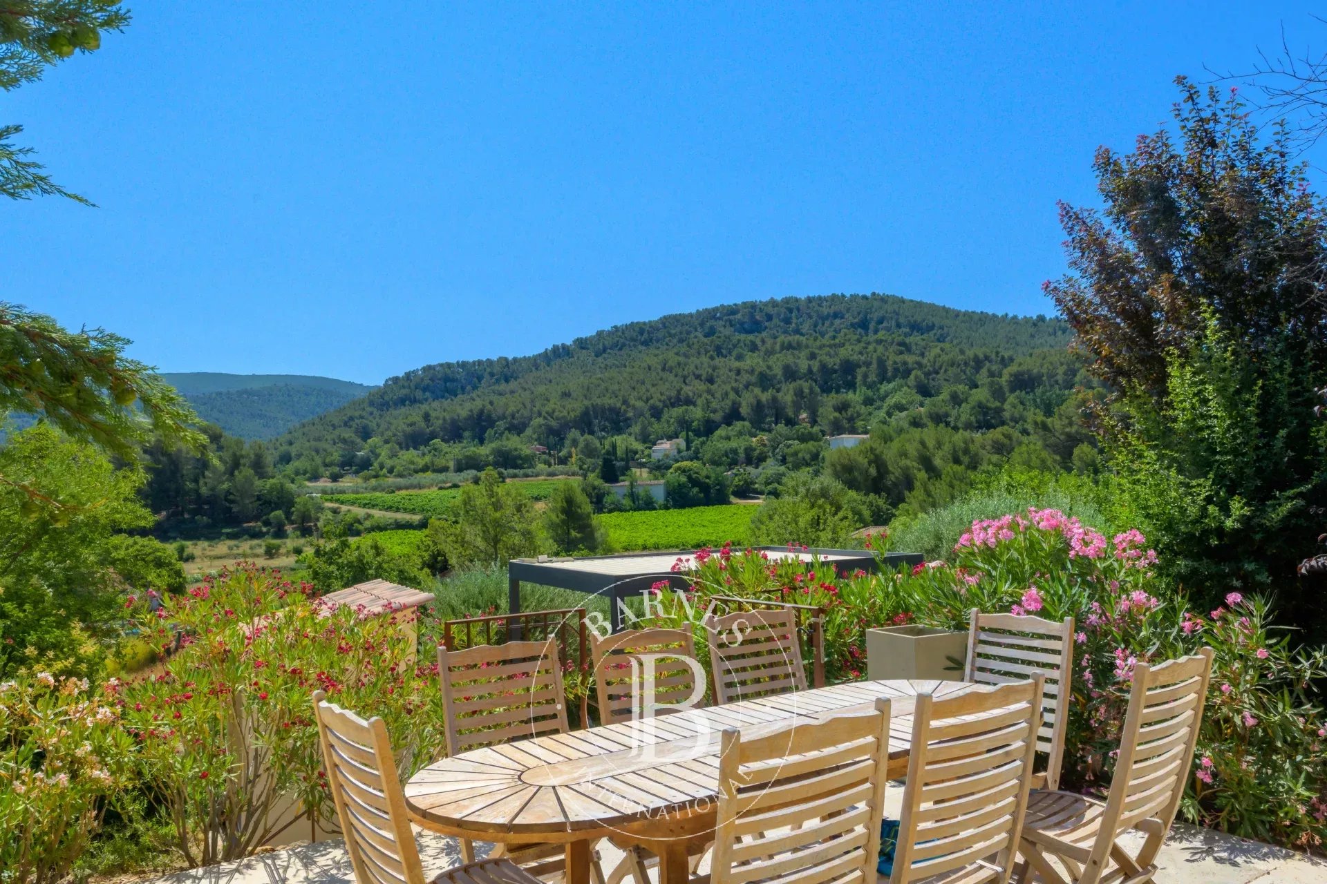 Kirevi Auriol - picture 29