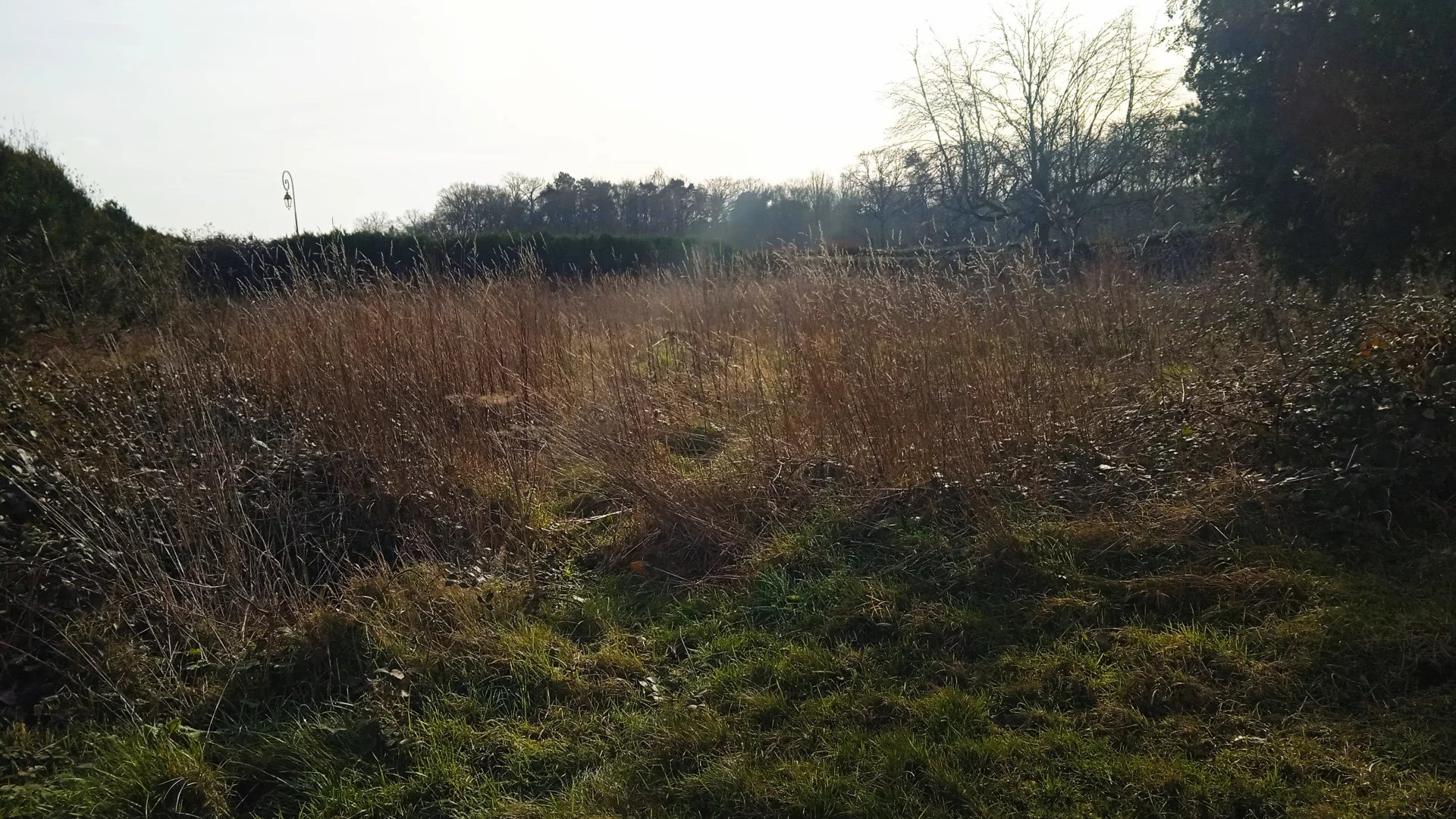 Vente Terrain constructible Saint-Paul-de-Fourques