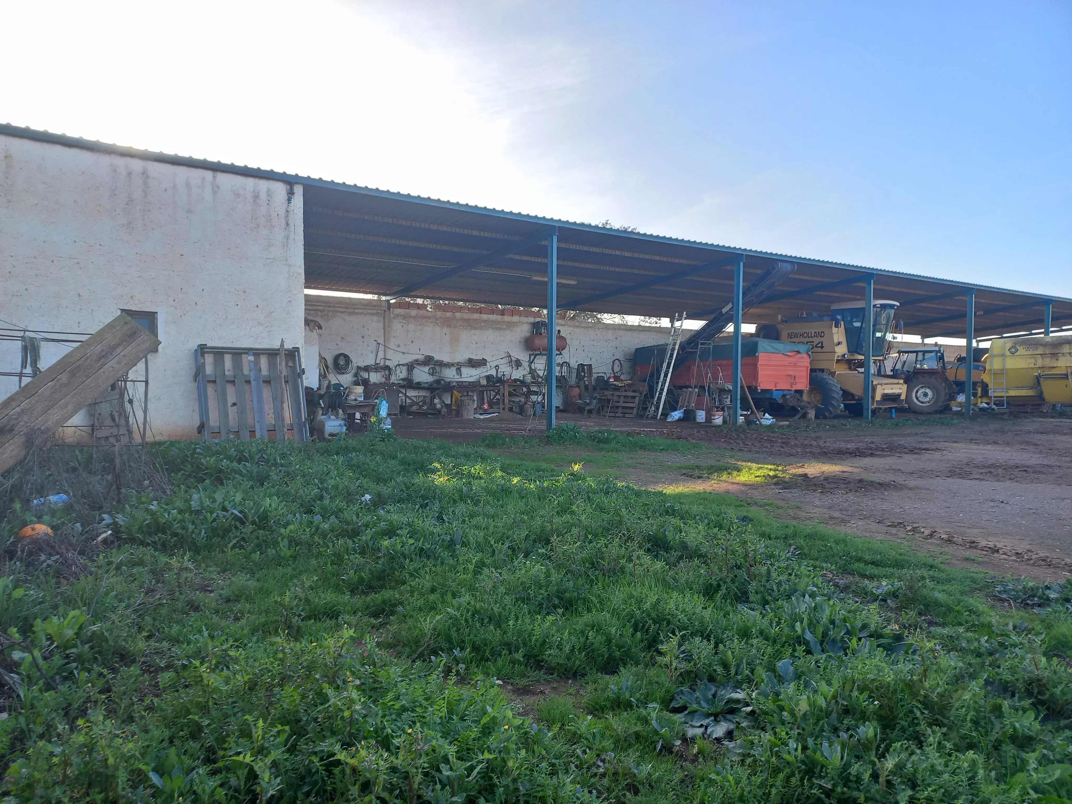 Herdade para Gado -Baixo Alentejo (Insurance for investors, funds and ICNF) 86742404 image 10