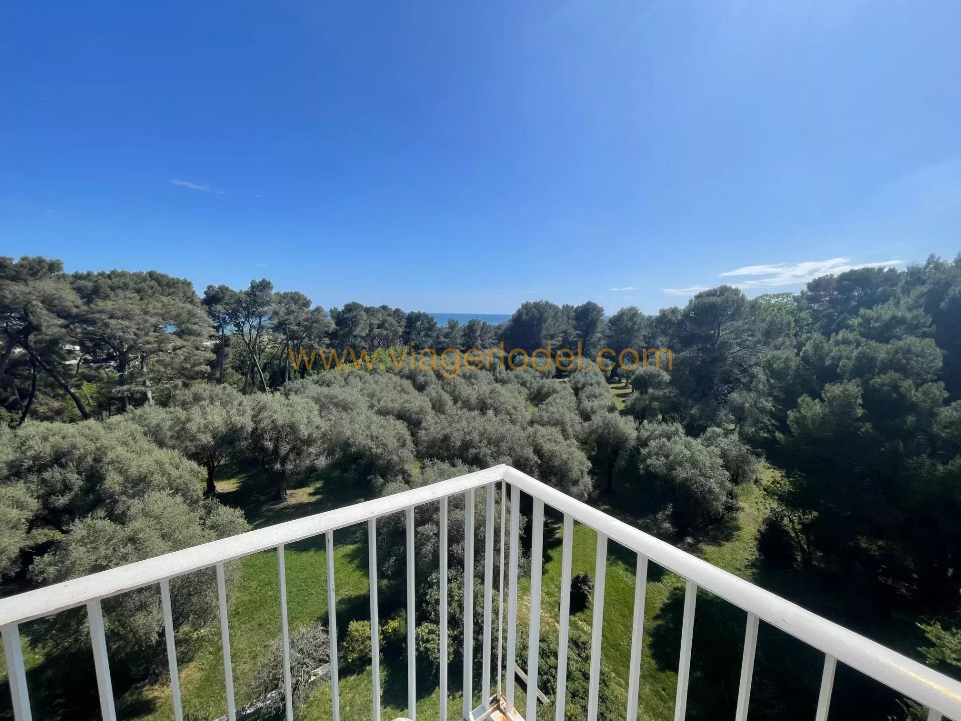 Réf. annonce : 10 062 - VENTE CLASSIQUE - CAGNES SUR MER (06)