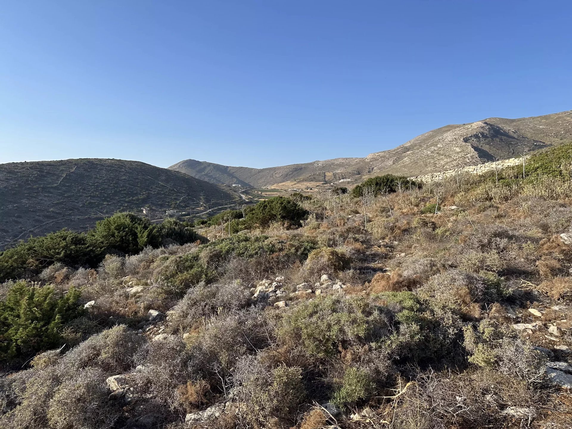 Image de la propriété 10