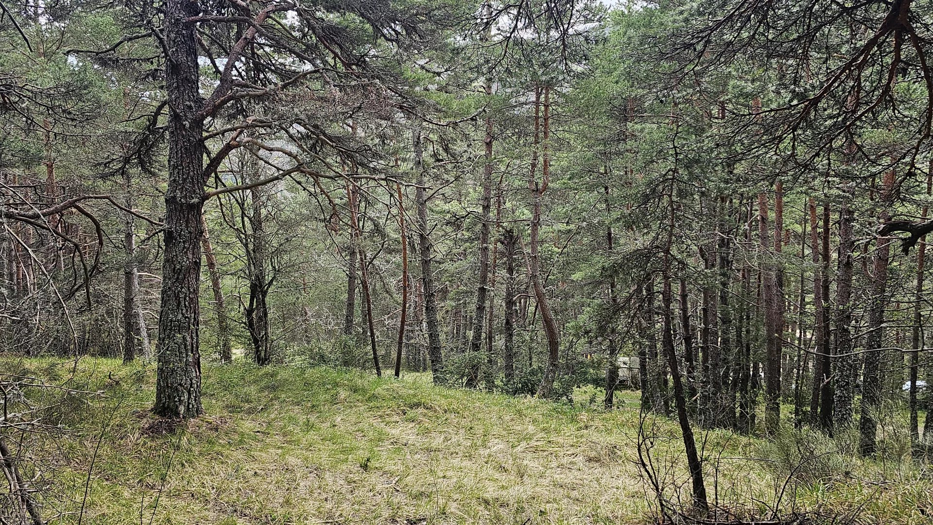 Terrain constructible de plus d'1 hectare vue dégagée