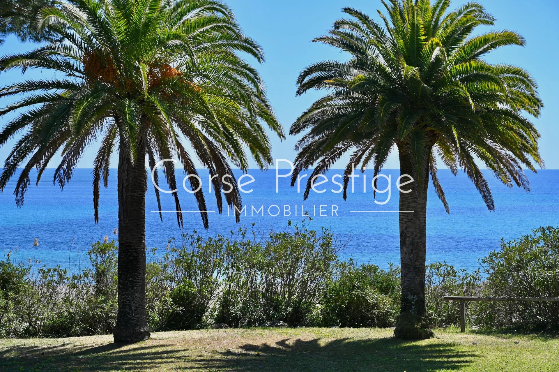 villa au cœur du domaine prive de capicciola – porto-vecchio image5