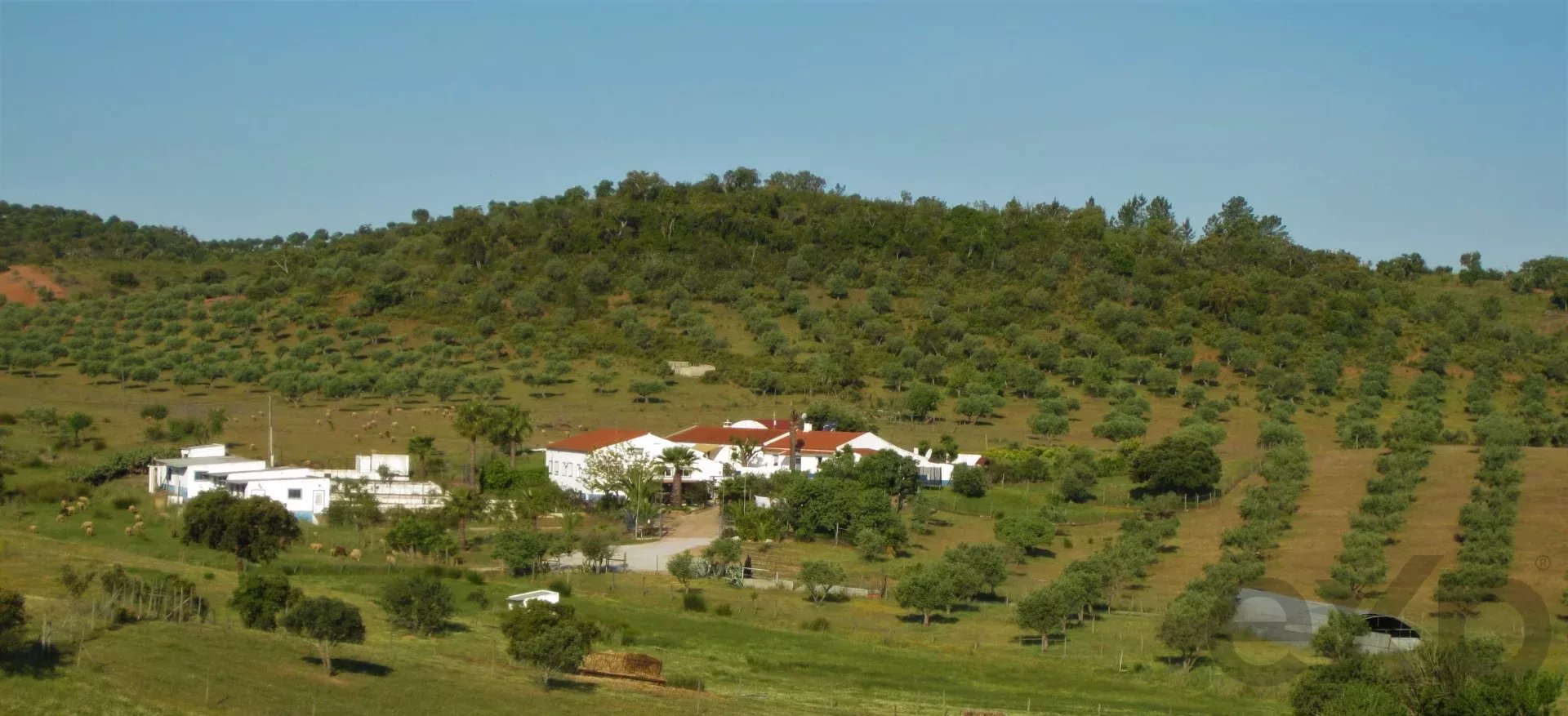 Herdade Cativante in Alentejo: A Tourist Investment with Immeasurable Potential 🌿✨ 86362095 image 82