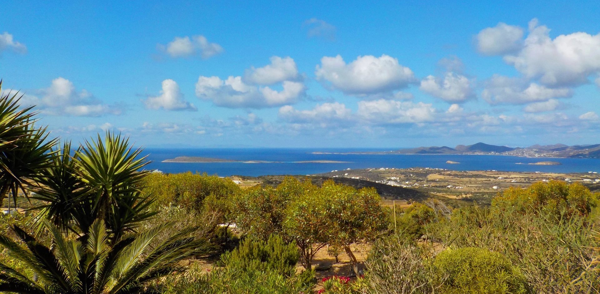 Εικόνα ιδιοκτησίας 12