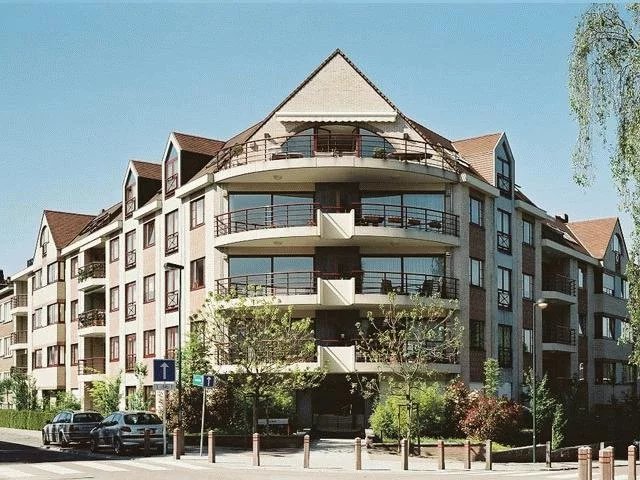 realisatie Cattleyas