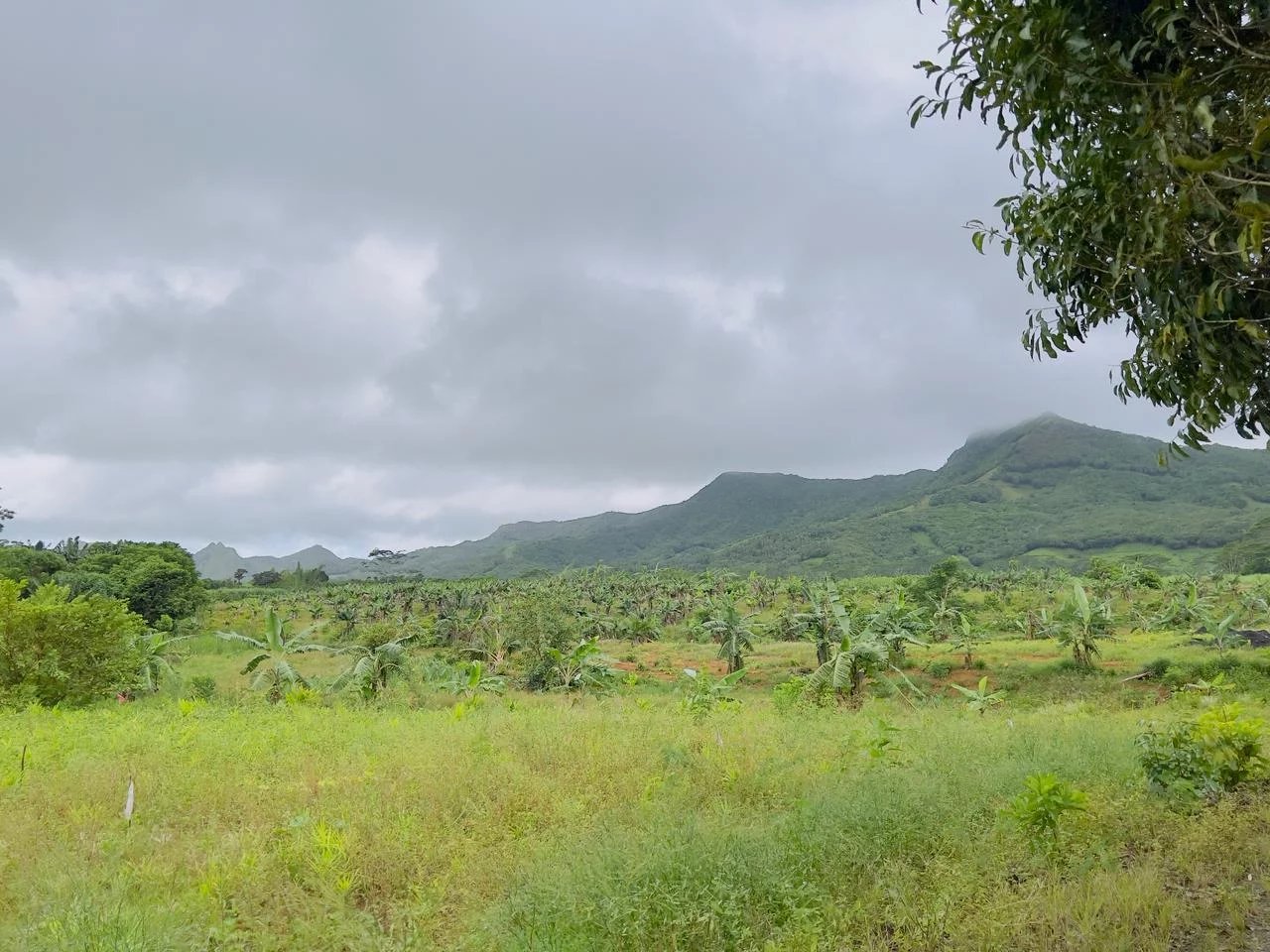 Dağ evi Sébastopol - picture 13