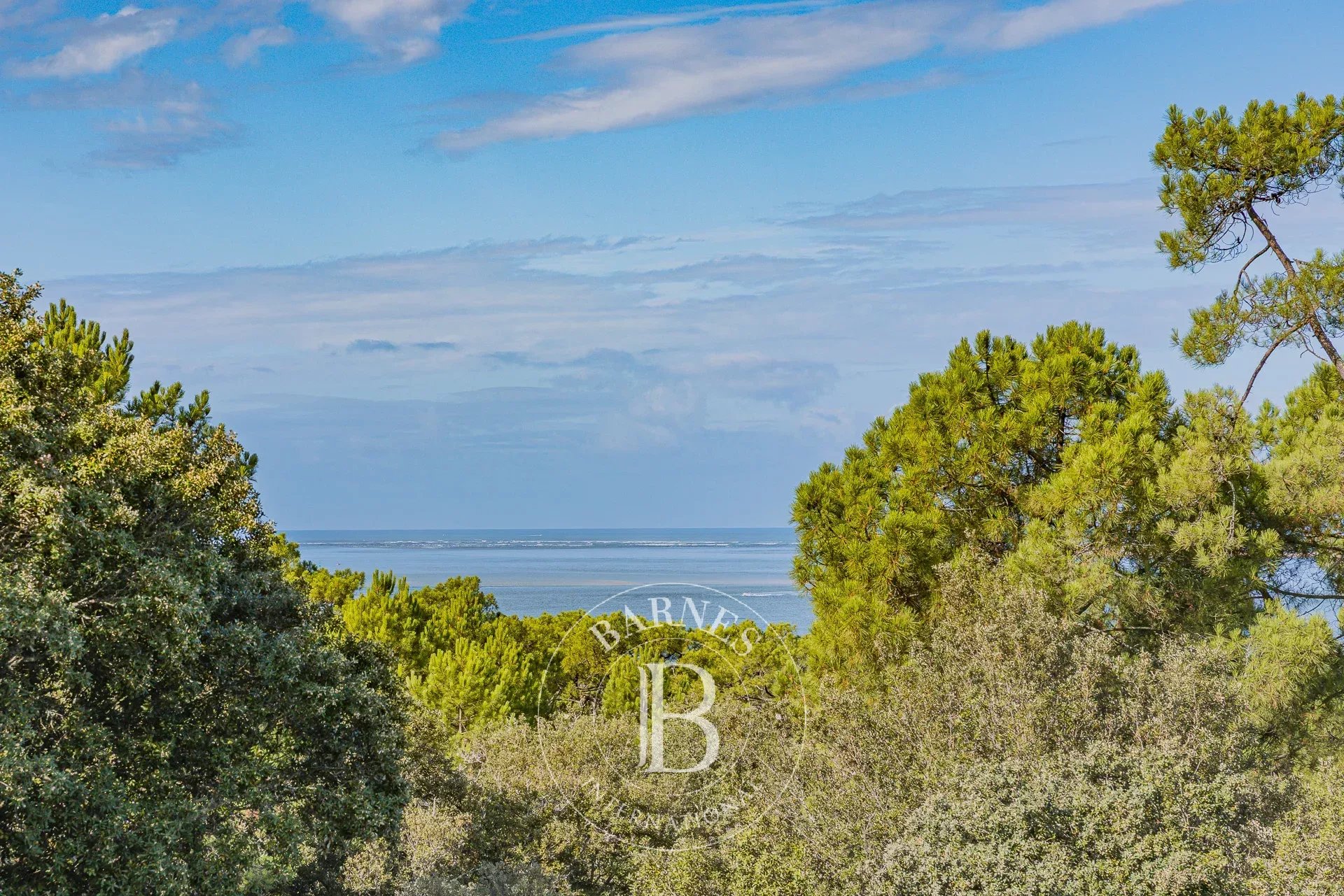 Вилла Pyla-sur-Mer - picture 4