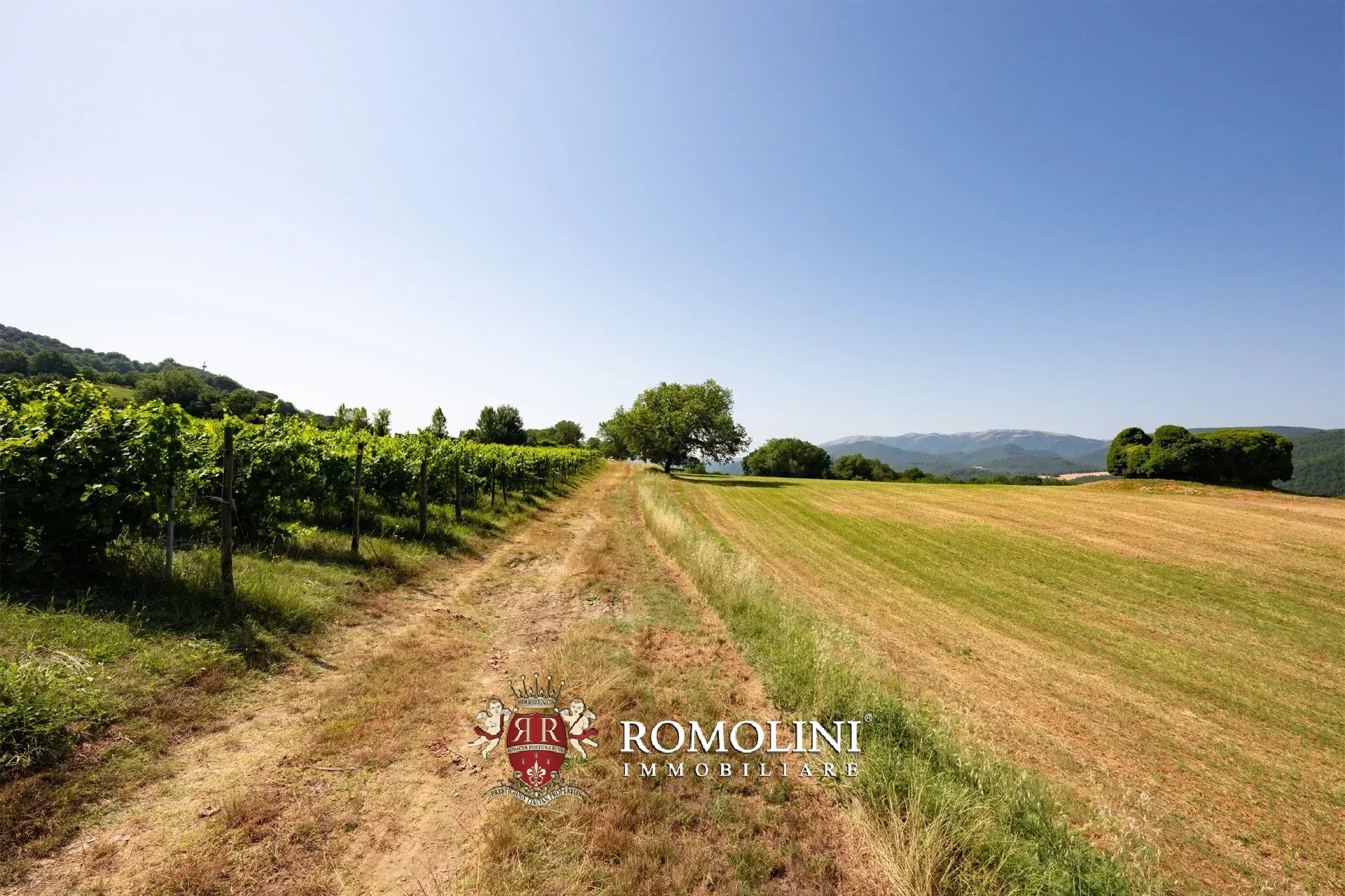 3 Bedroom Vineyard's Image 34