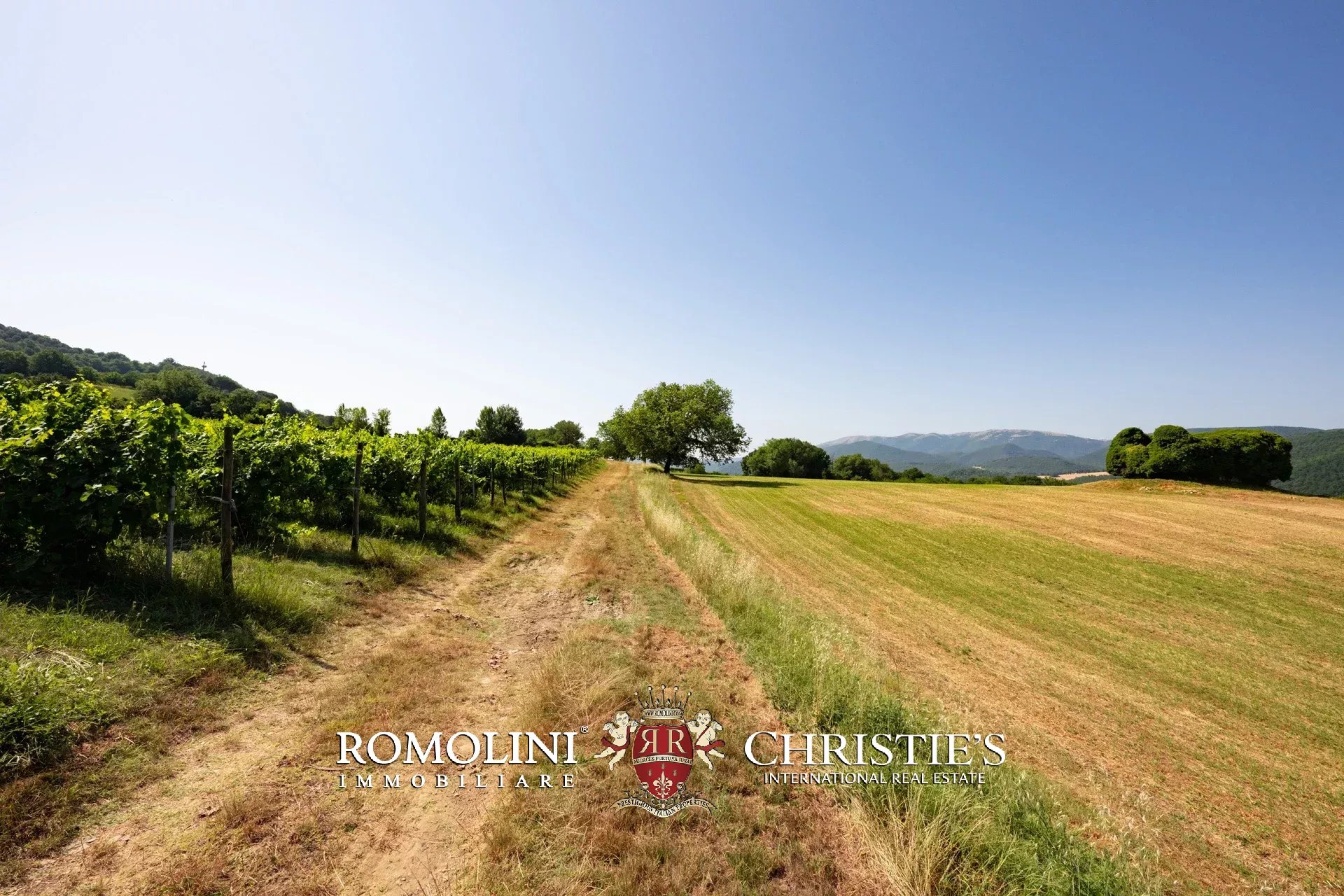 3 Bedroom Vineyard's Image 34