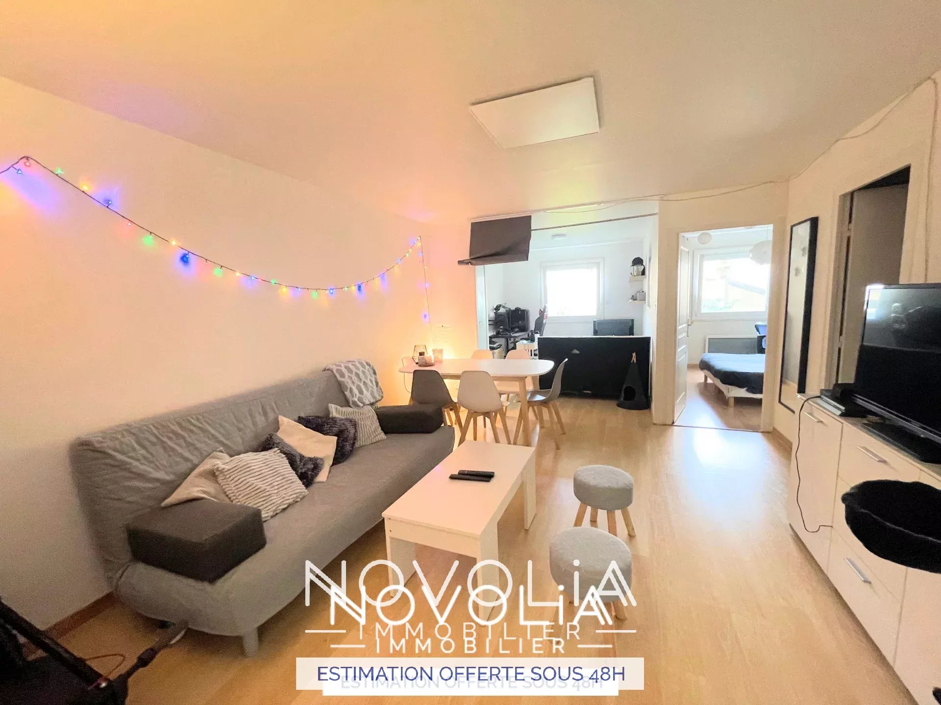 Achat Appartement, Surface de 53.01 m²/ Total carrez : 53 m², 3 pièces, Villeurbanne (69100)