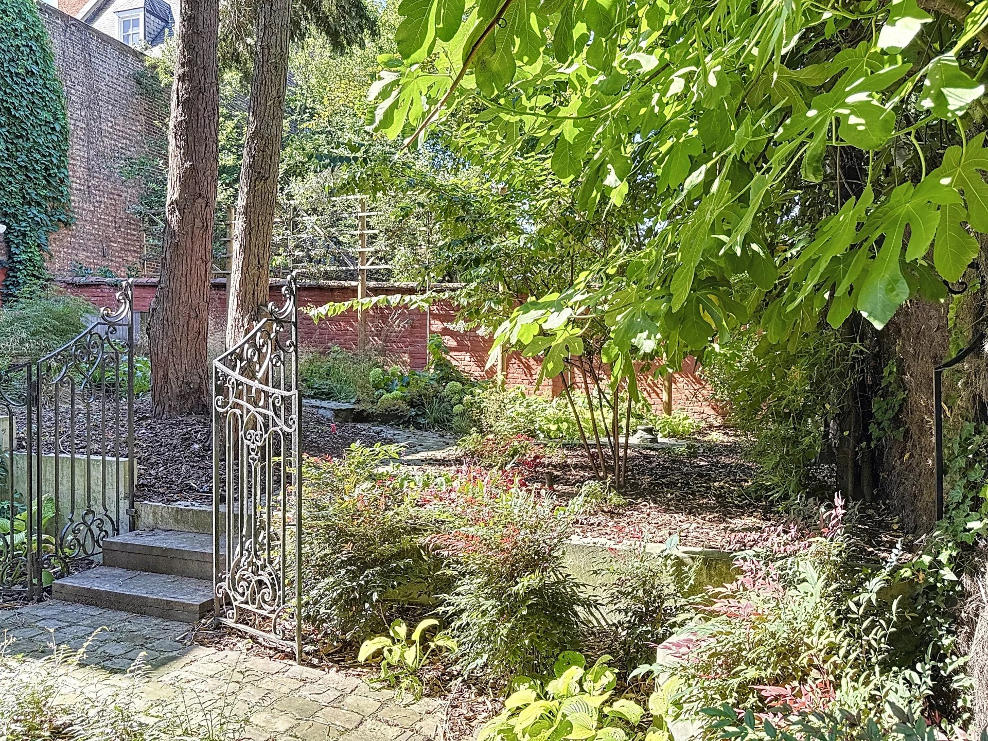 Ev Ixelles - picture 6