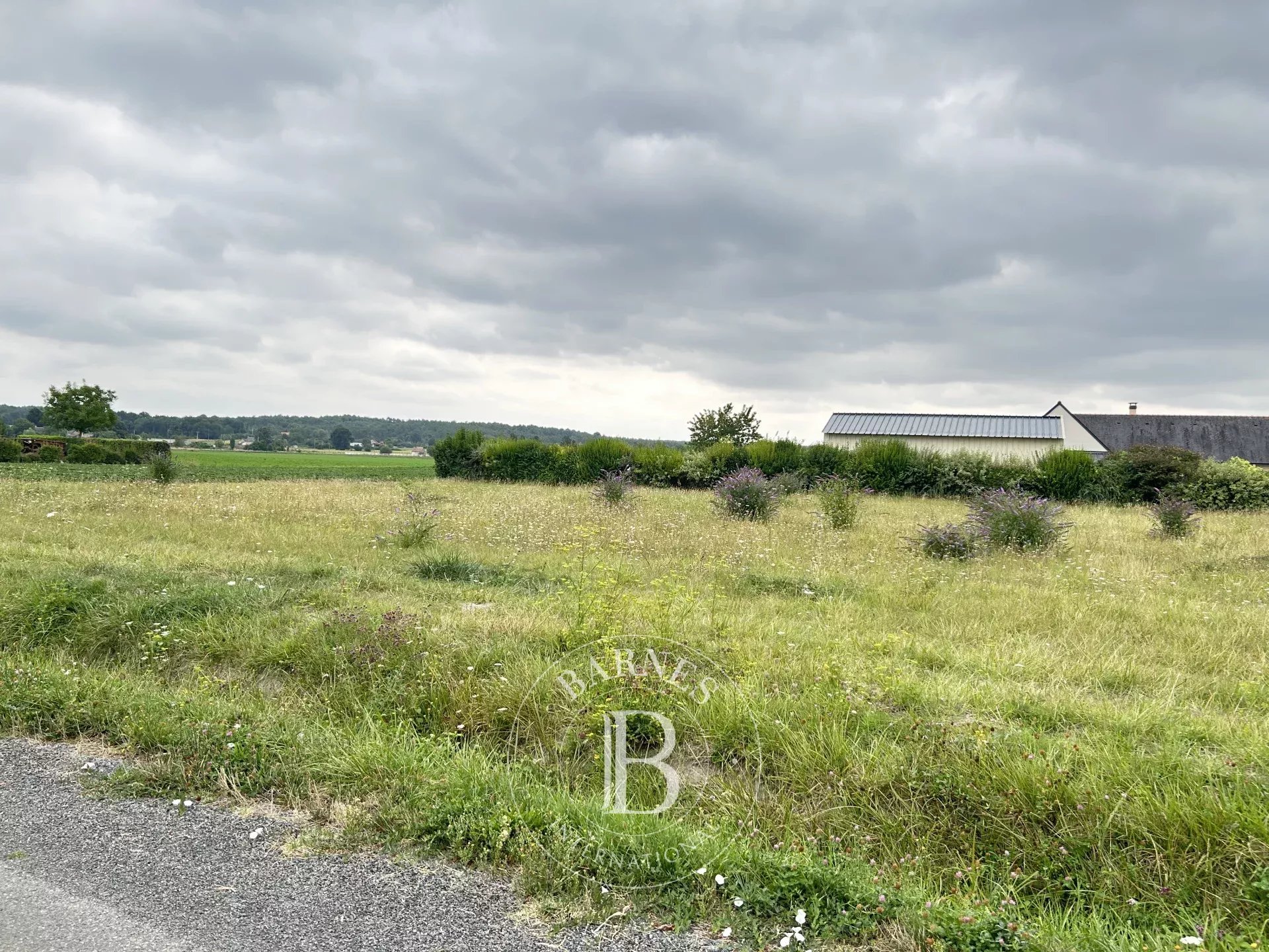 Terrain constructible Vernantes  -  ref 86175567 (picture 2)