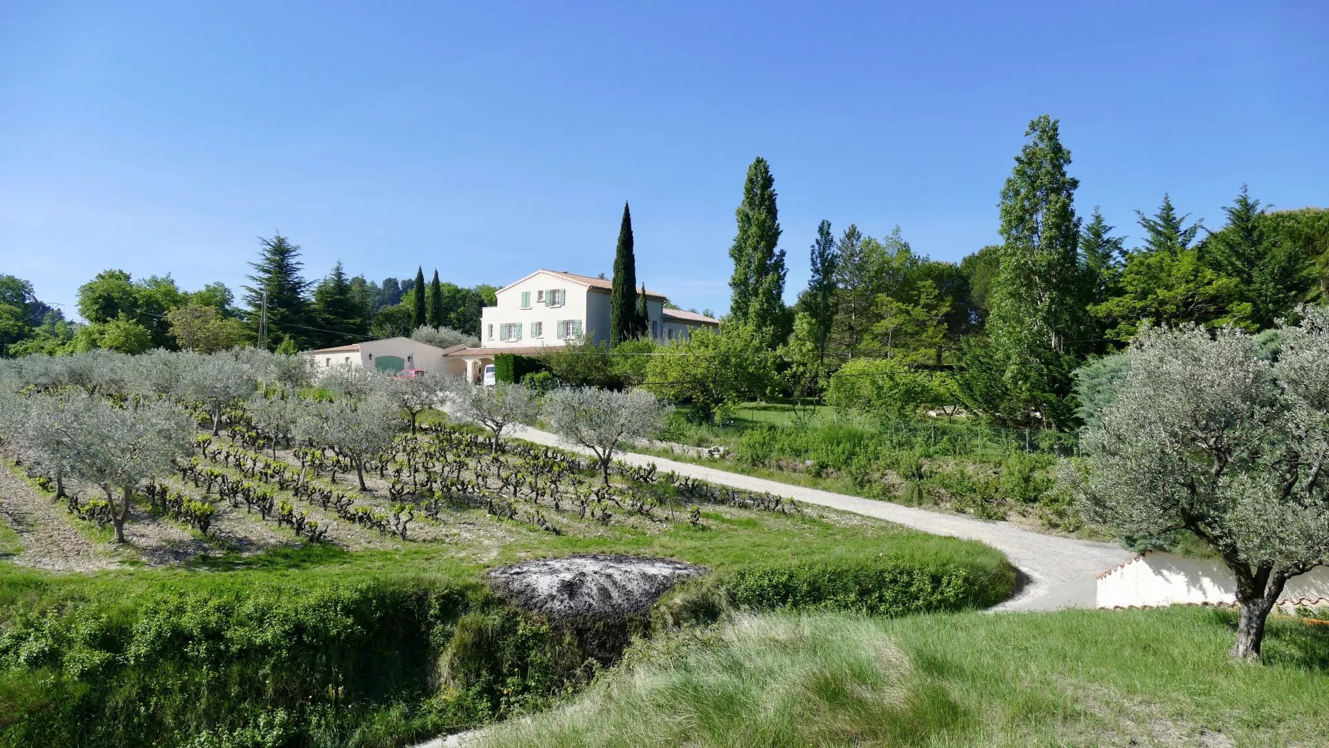 Vaison-La-Romaine, à vendre grande maison soignée en position dominante