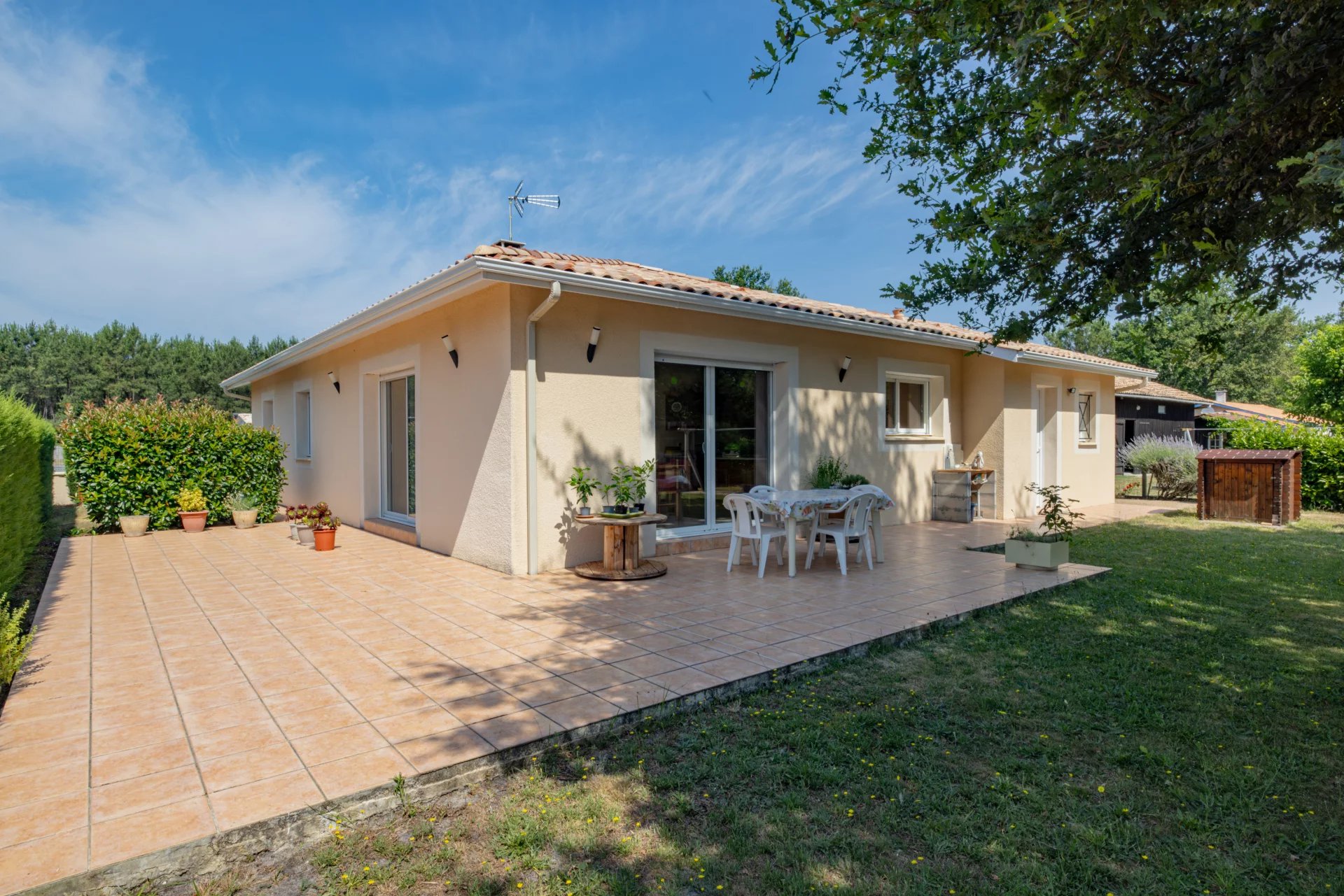 Agence immobilière de Kalimo