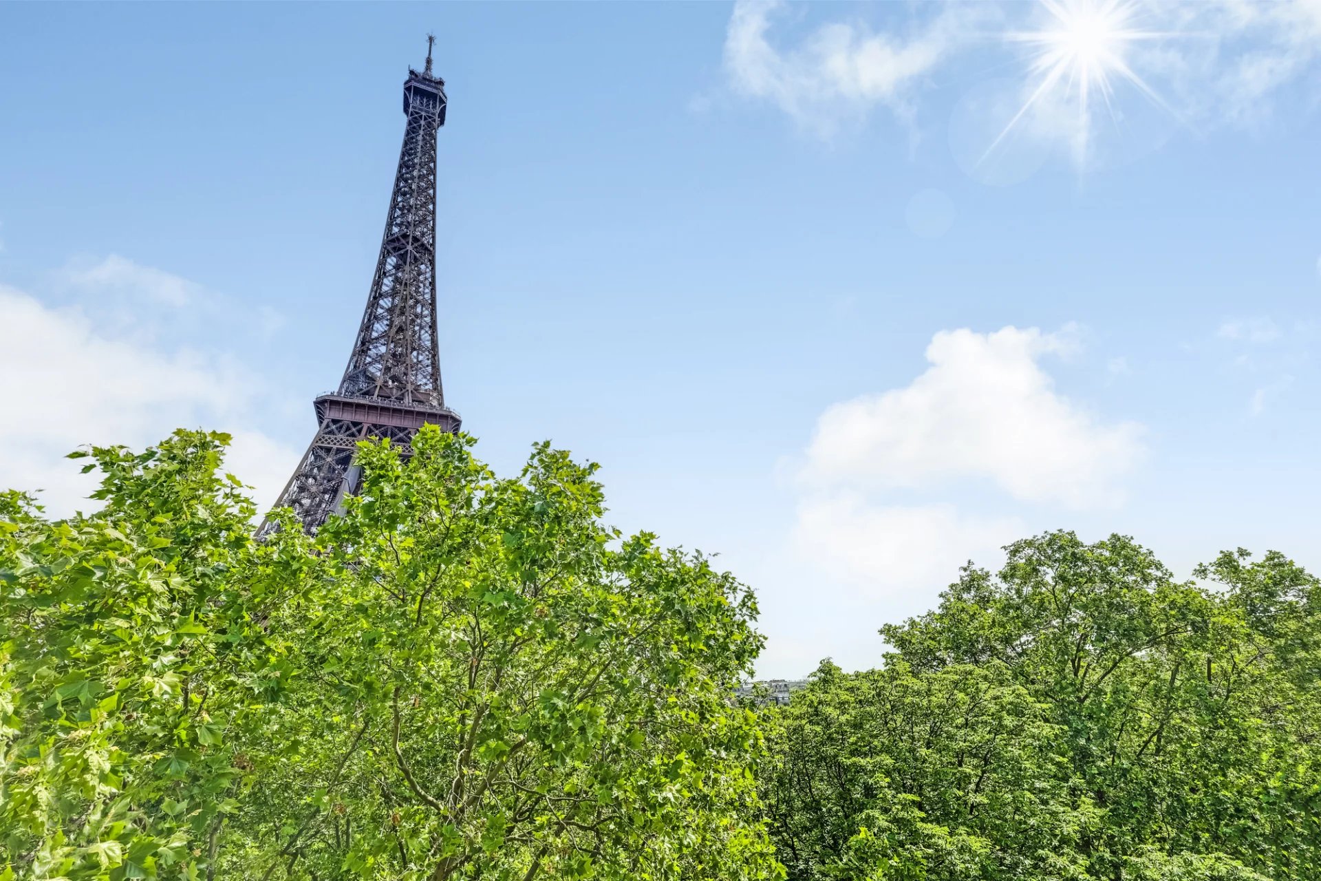 VUE TOUR EIFFEL