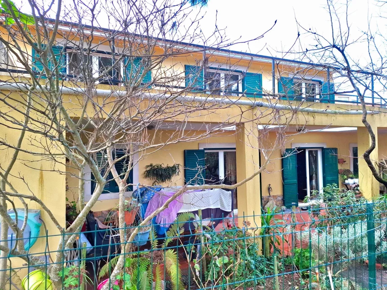 Sintra , Colares - Small farm with dream house 86819090 image 2