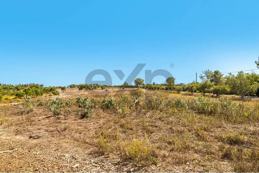 Unmissable Investment in Odemira 85507464 image 4