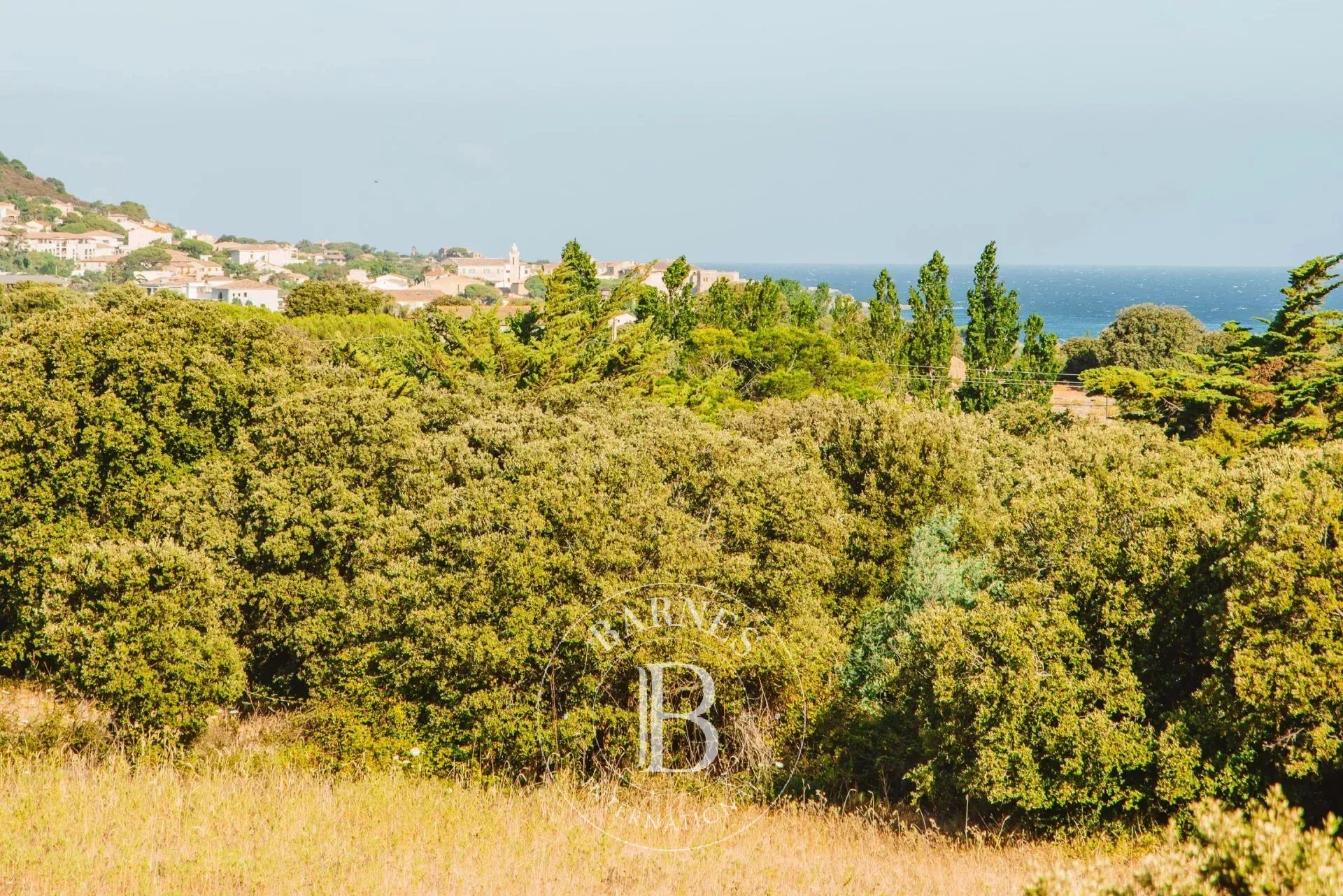 L'Île-Rousse  - Villa  - picture 16