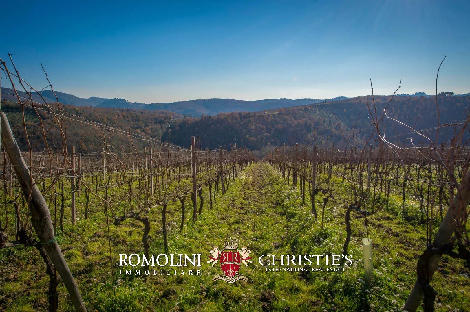 4 Bedroom Vineyard's Image 3