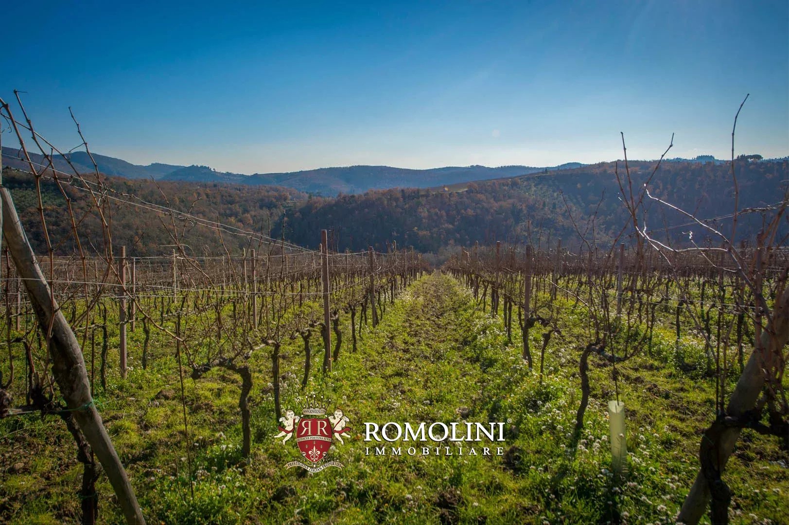4 Bedroom Vineyard's Image 3