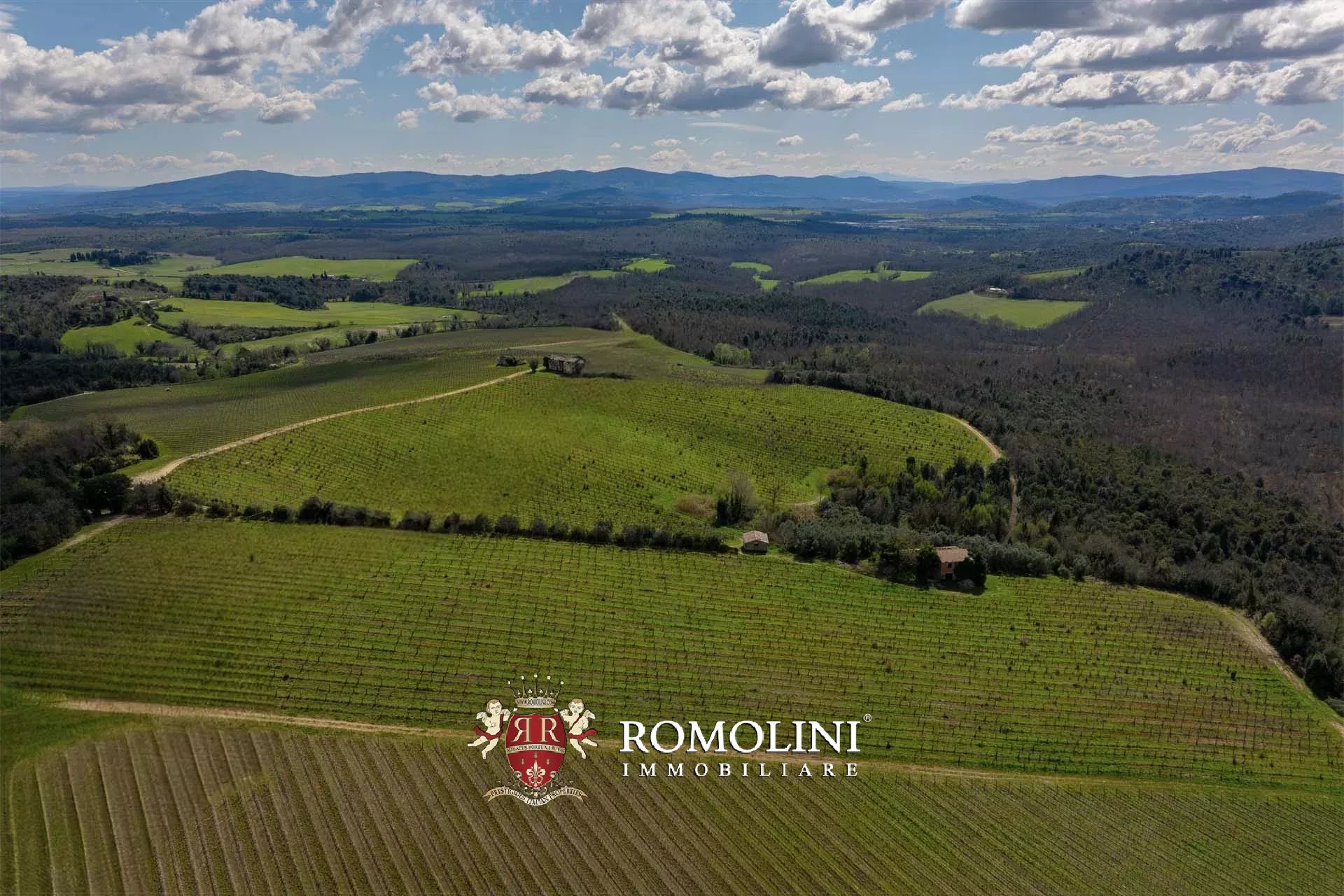 35 Bedroom Vineyard's Image 25