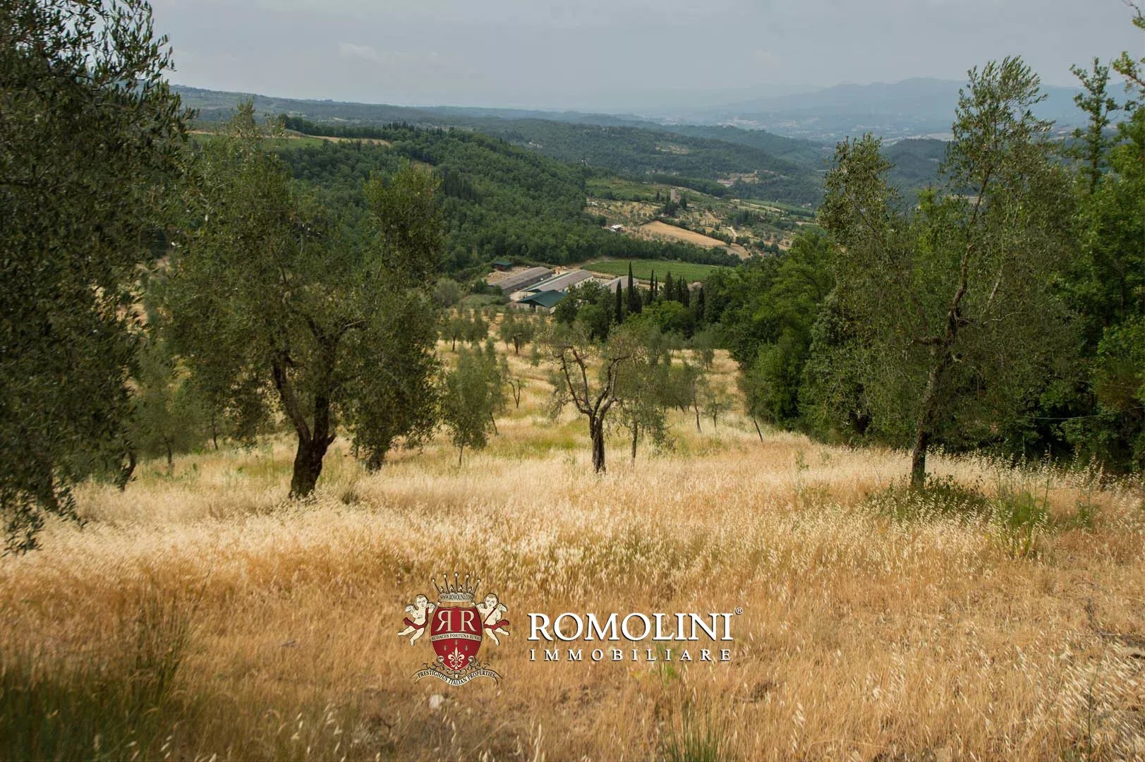 50 Bedroom Vineyard's Image 8