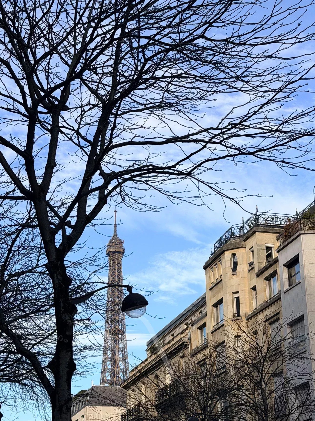 Agence immobilière de Nouvelle Vague Real Estate