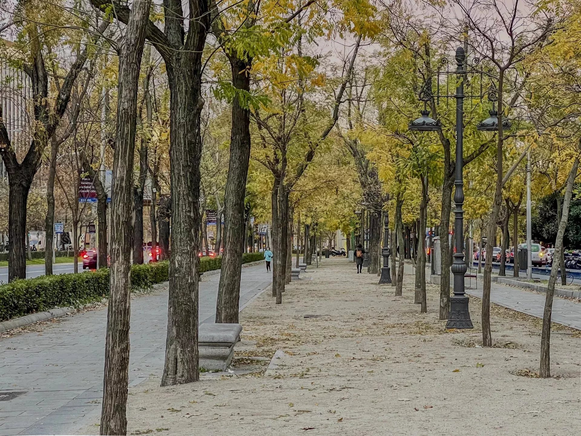 Daire Madrid - picture 26