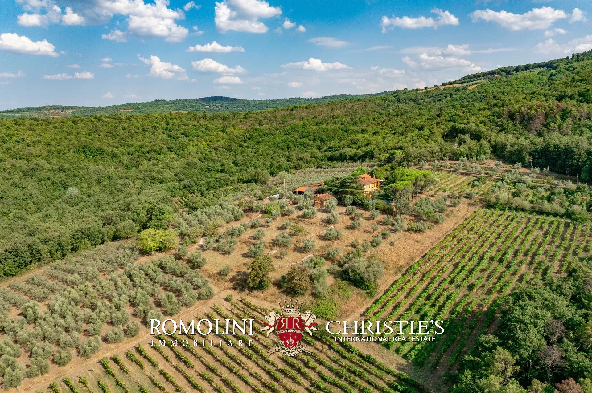 Property Slider Image