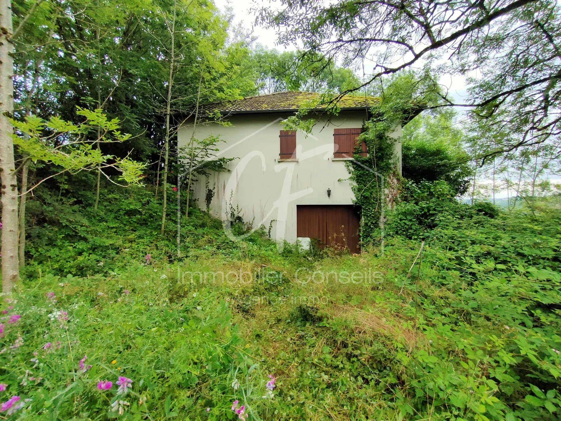 Agence immobilière de CAUMES DAVID