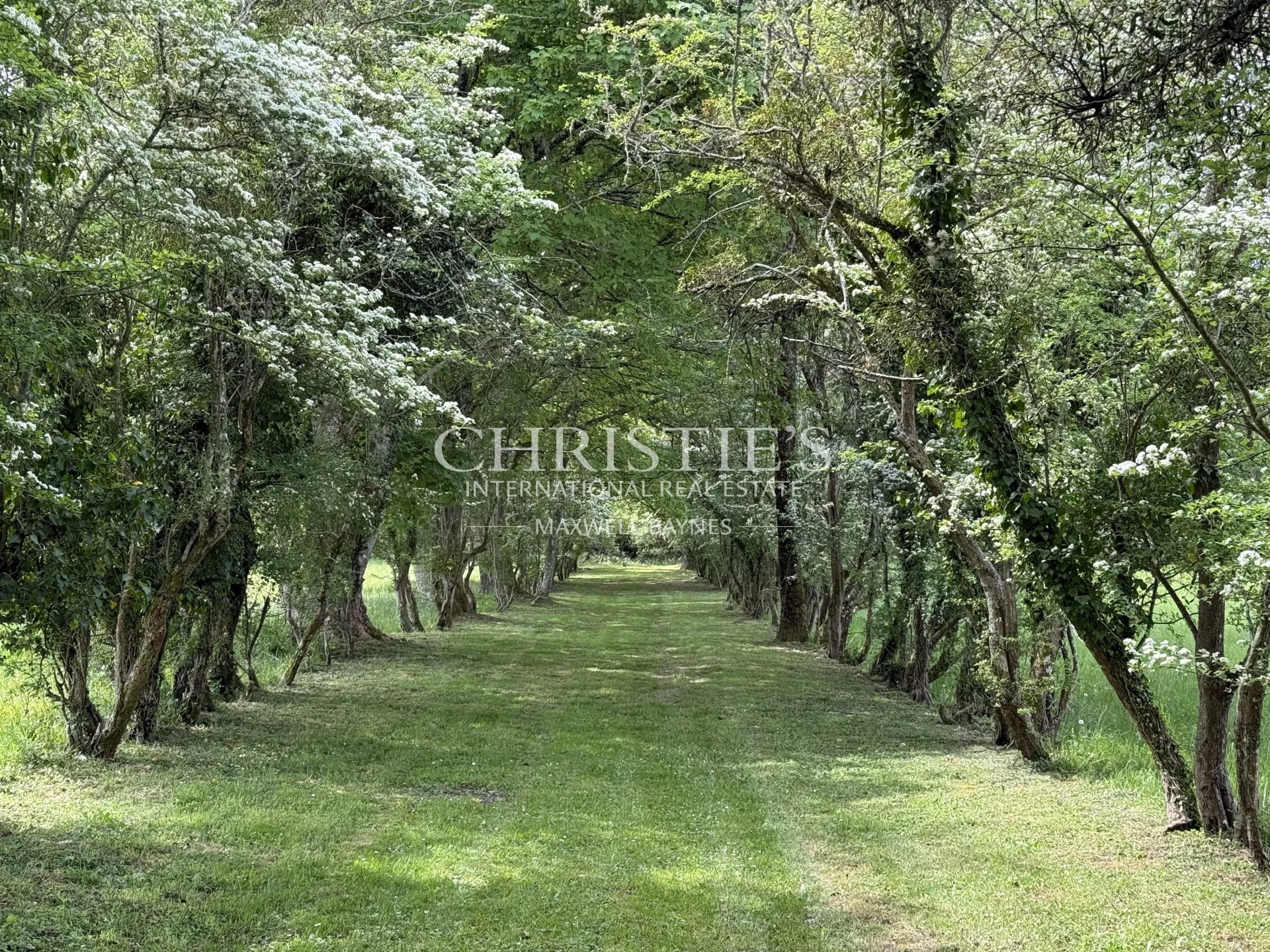 Property Slider Image
